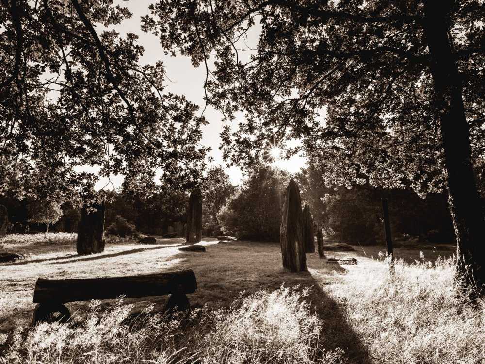 Menhirs de Monteneuf