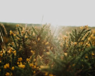 Visite guidée - Monteneuf