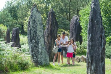 Menhirs de Monteneuf