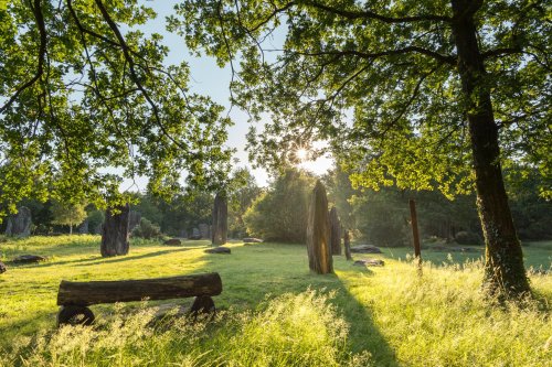 Menhirs de Monteneuf